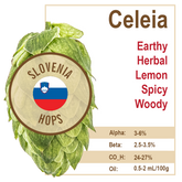 Celeia Gold (SI) Hops